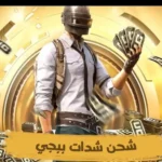 صورة توضيحية لشحن 8280 شدة ببجي موبايل مجانية عبر Midasbuy لفتح الرويال باس والأزياء النادرة.