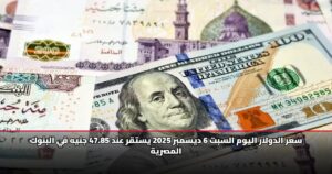 سعر الدولار اليوم السبت 6 ديسمبر 2025 يستقر عند 47.85 جنيه في البنوك المصرية