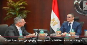 «موجة غلاء 2025».. لماذا قفزت أسعار الغذاء والوقود في مصر بنسبة 15%؟