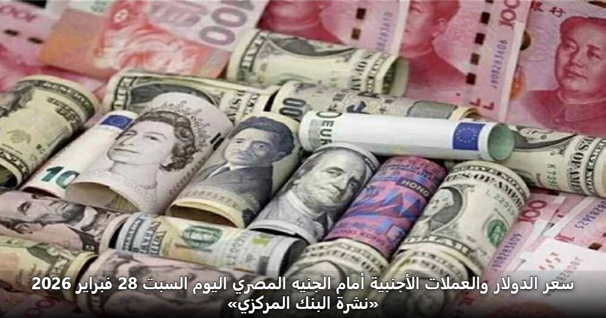 سعر الدولار والعملات الأجنبية أمام الجنيه المصري اليوم السبت 28 فبراير 2026 «نشرة البنك المركزي»